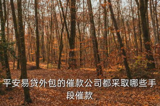 平安易貸外包的催款公司都采取哪些手段催款