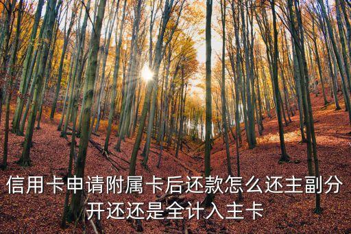 信用卡申請(qǐng)附屬卡后還款怎么還主副分開還還是全計(jì)入主卡
