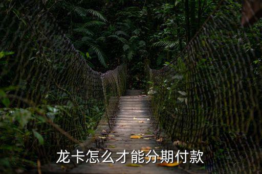 龍卡怎么才能分期付款