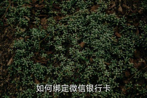 如何綁定微信銀行卡