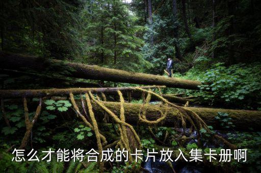 怎么才能將合成的卡片放入集卡冊啊