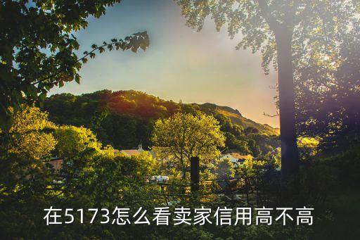 5173怎么看信譽，在5173怎么看賣家信用高不高