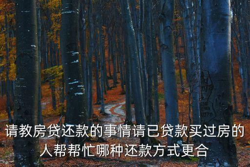 請教房貸還款的事情請已貸款買過房的人幫幫忙哪種還款方式更合