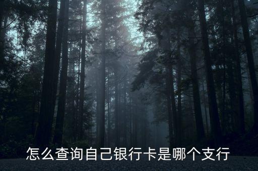 怎么查詢自己銀行卡是哪個(gè)支行
