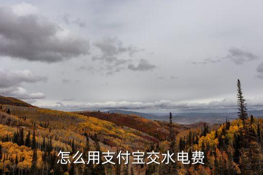 怎么用支付寶交水電費(fèi)
