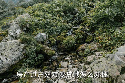 賣房對方貸款怎么辦，房產過戶對方要貸款怎么辦理