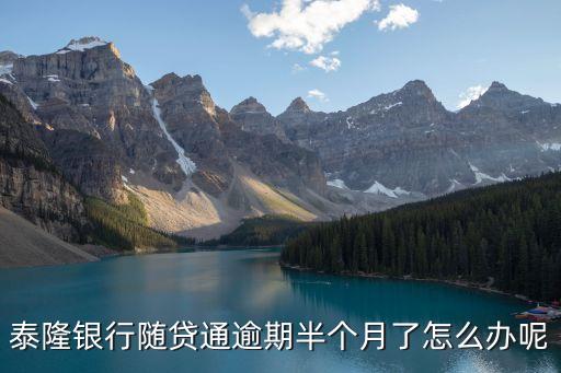 泰隆銀行隨貸通逾期半個月了怎么辦呢