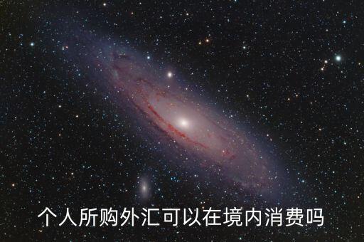 在國內(nèi)怎么消費外幣，個人所購?fù)鈪R可以在境內(nèi)消費