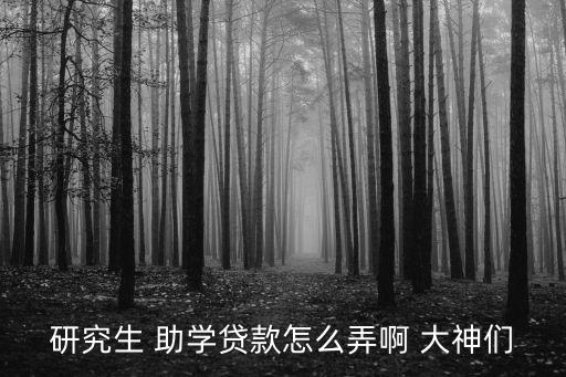 研究生 助學(xué)貸款怎么弄啊 大神們