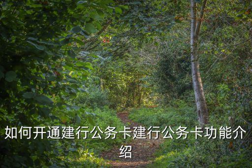 如何開通建行公務(wù)卡建行公務(wù)卡功能介紹