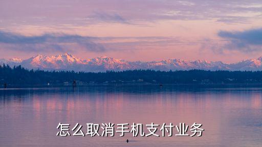 怎么取消手機(jī)支付業(yè)務(wù)