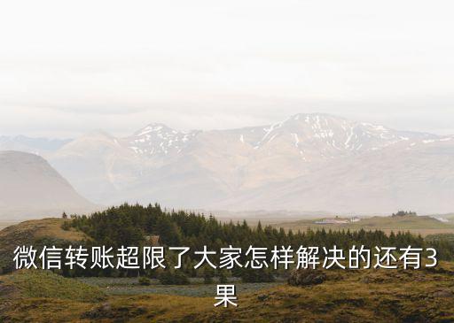 微信轉(zhuǎn)賬超限了大家怎樣解決的還有3果