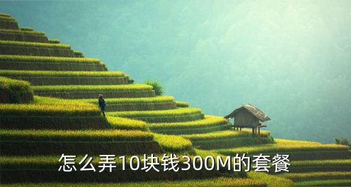 怎么弄10塊錢300M的套餐