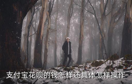 怎么樣還花唄全部的錢，花唄怎么才能全部還完