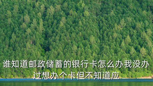 誰知道郵政儲(chǔ)蓄的銀行卡怎么辦我沒辦過想辦個(gè)卡但不知道應(yīng)