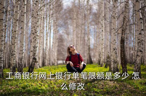 工商銀行網(wǎng)上銀行單筆限額是多少 怎么修改