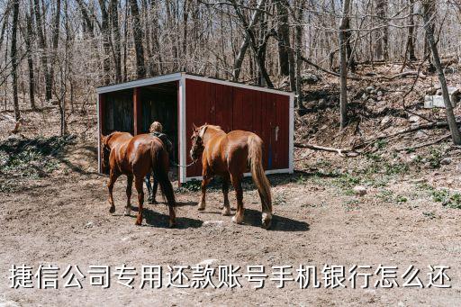 捷信公司專用還款賬號手機銀行怎么還