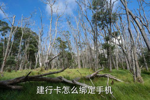 建行卡怎么綁定手機(jī)