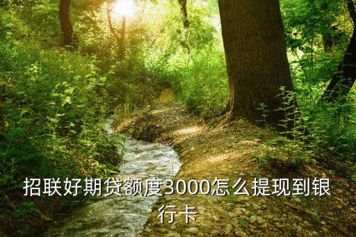 好期貸提現(xiàn)不了怎么辦，招聯(lián)好期貸額度3000怎么提現(xiàn)到銀行卡