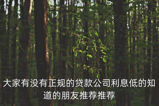 大家有沒(méi)有正規(guī)的貸款公司利息低的知道的朋友推薦推薦