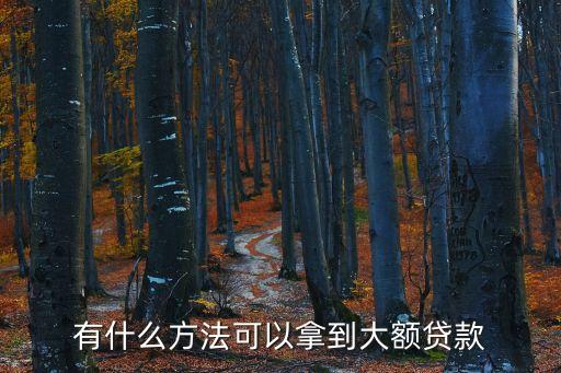 有什么方法可以拿到大額貸款