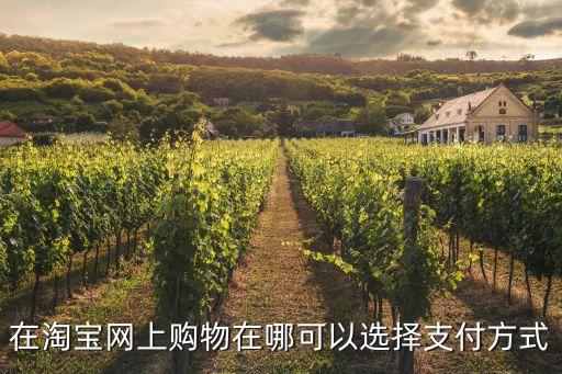 淘寶怎么篩選支付方式，怎樣在淘寶網(wǎng)上選擇到貨付錢的付賬辦法