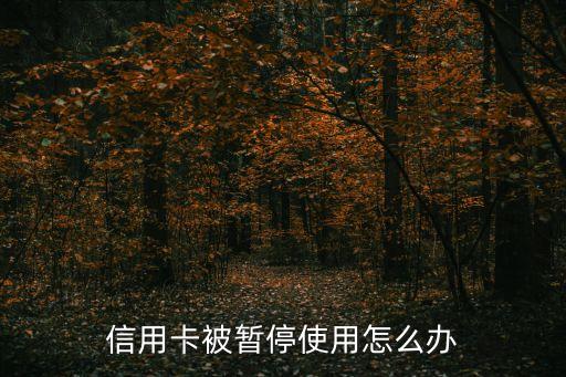 信用卡停止使用怎么辦，信用卡暫時停用怎么辦