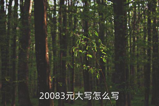 20083元大寫怎么寫