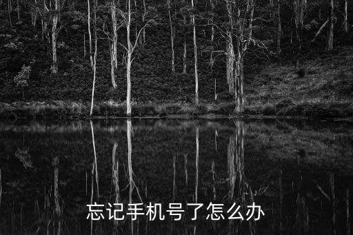 忘記手機(jī)卡號(hào)碼怎么辦，手機(jī)卡的號(hào)忘了怎么辦