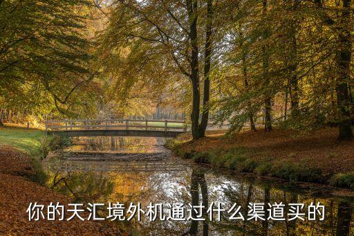 你的天匯境外機通過什么渠道買的