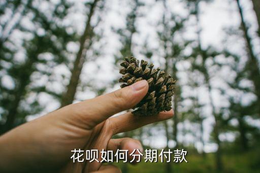 花唄怎么設(shè)置分期還款，請(qǐng)問(wèn)支付寶 花唄如何分期還款