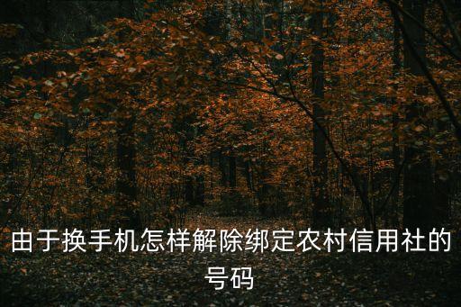 內(nèi)蒙古農(nóng)信怎么解綁，內(nèi)蒙古農(nóng)信社手機(jī)銀行更換手機(jī)如何解綁