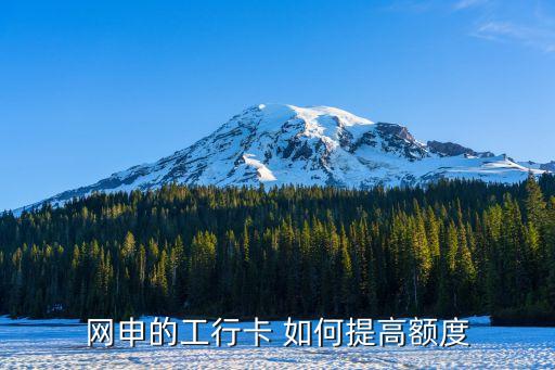 網(wǎng)申的工行卡 如何提高額度
