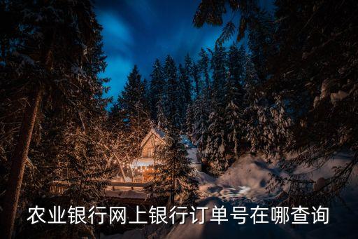 農(nóng)行怎么查詢訂單號(hào)，農(nóng)業(yè)銀行網(wǎng)上銀行訂單號(hào)在哪查詢