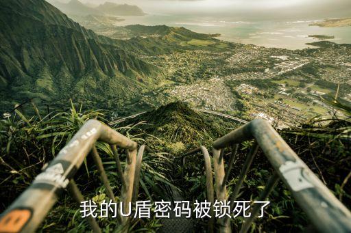 u盾密碼鎖死怎么辦，我U盾密碼被鎖死了怎么辦