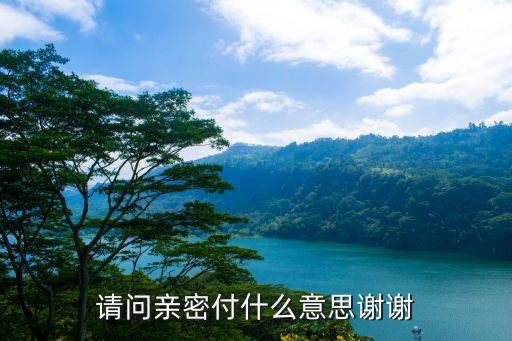 請問親密付什么意思謝謝