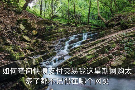 怎么查快捷支付明細(xì)，如何查網(wǎng)銀中快捷支付的明細(xì)