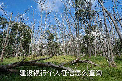 建行信用記錄怎么查，建設銀行怎樣查征信