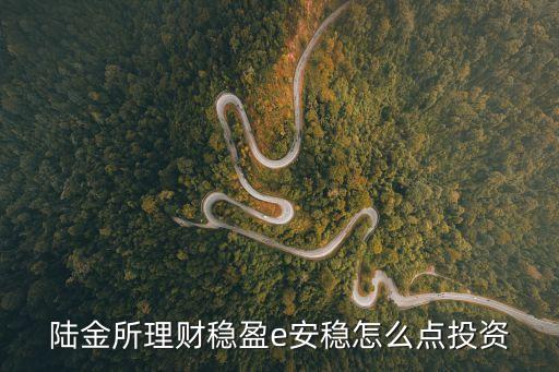陸金所的穩(wěn)盈安e怎么買，陸金所理財穩(wěn)盈e安穩(wěn)要怎么投資
