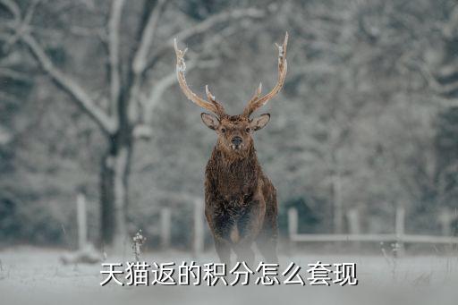 買東西怎么套積分，我在淘寶的積分已經(jīng)3000多了據(jù)說100積分可以抵1元我拍完一件