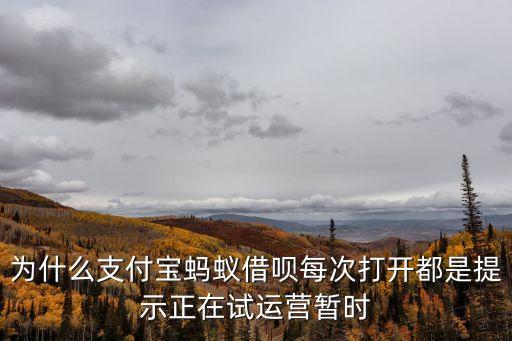為什么支付寶螞蟻借唄每次打開都是提示正在試運(yùn)營(yíng)暫時(shí)