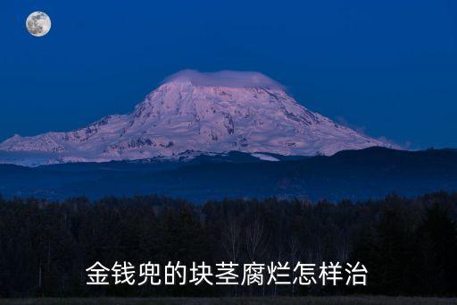 金錢兜總爛怎么回事，你好我想請問一下金錢兜枝葉下垂根部部分腐爛有什么方法補救嗎