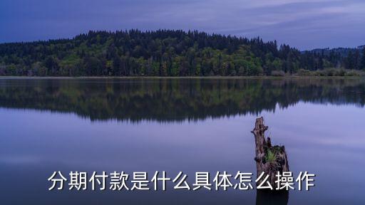 套餐分期付款怎么操作，分期付款有哪些流程