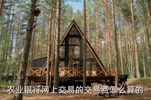農(nóng)業(yè)銀行網(wǎng)付怎么算，農(nóng)業(yè)網(wǎng)上銀行怎么算交易一次了