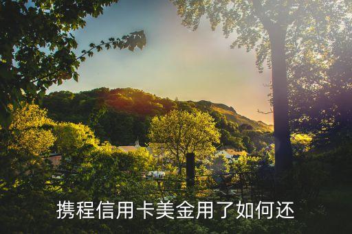 建行攜程卡取錢怎么還，攜程信用卡美金用了如何還