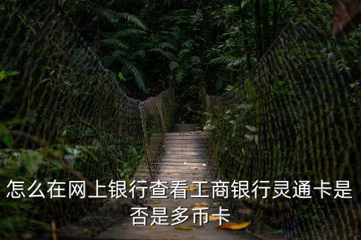 怎么在網(wǎng)上銀行查看工商銀行靈通卡是否是多幣卡
