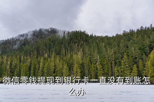 微信零錢提現(xiàn)到銀行卡一直沒有到賬怎么辦