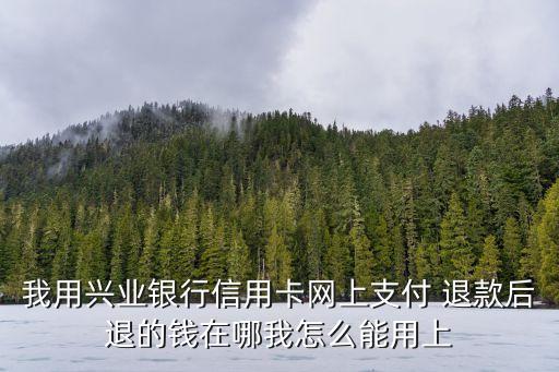 退款退到信用卡怎么用，我用興業(yè)銀行信用卡網(wǎng)上支付 退款后退的錢在哪我怎么能用上