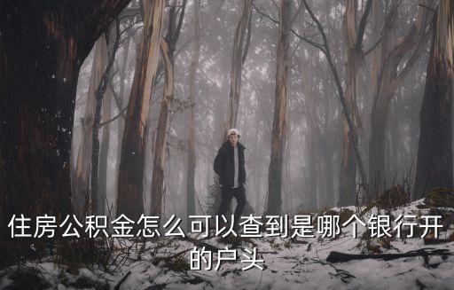 公積金開戶銀行怎么查，住房公積金怎么可以查到是哪個(gè)銀行開的戶頭