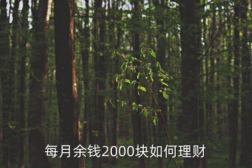 手里兩千塊怎么理財(cái)，每月余錢2000塊如何理財(cái)